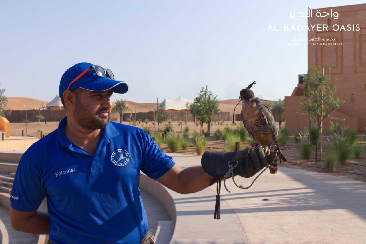Al Badayer Retreat By Sharjah Collection Hotel Margham Exterior foto Falconry in Al-Jahili Fort, Al-Ahsa, Saudi Arabia